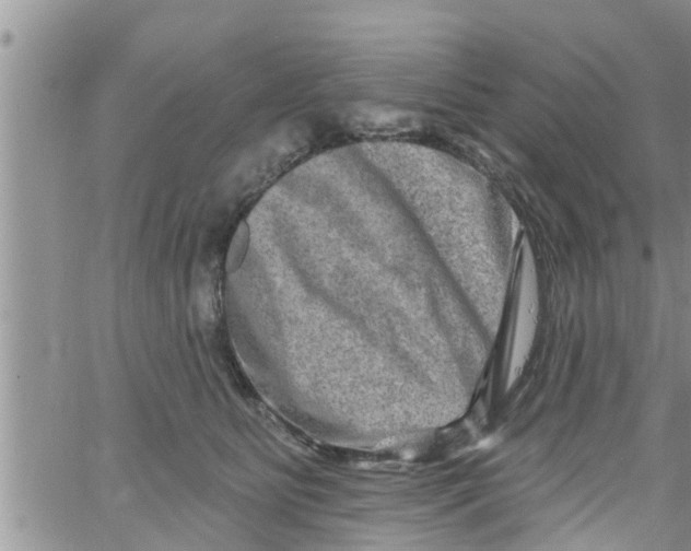 X0000061150515200512092002