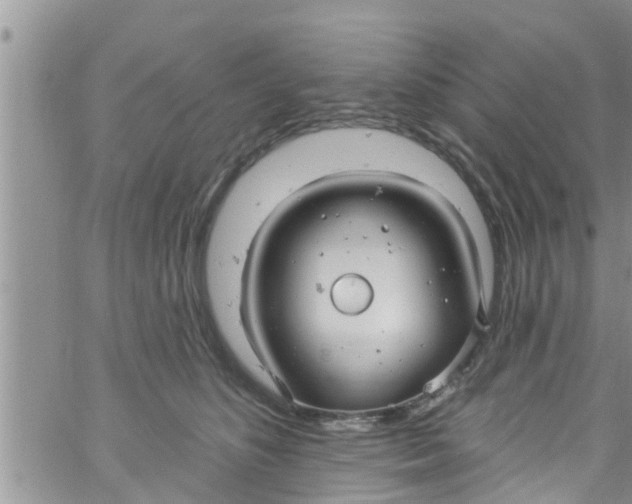 X0000061150516200512092002