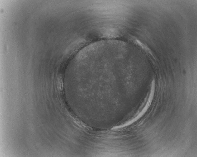 X0000061150517200512092002