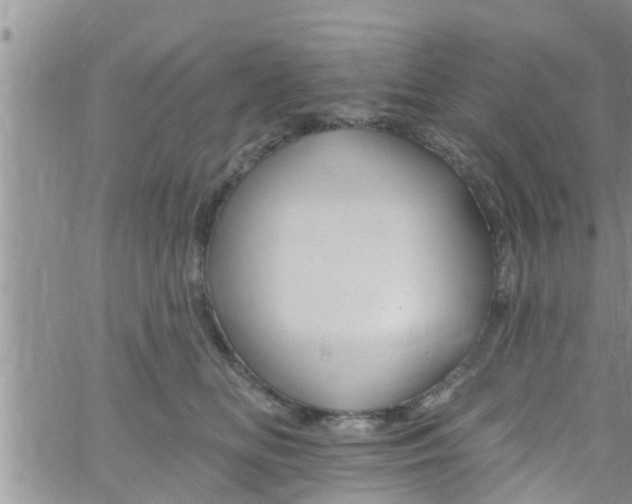 X0000061150518200512092002