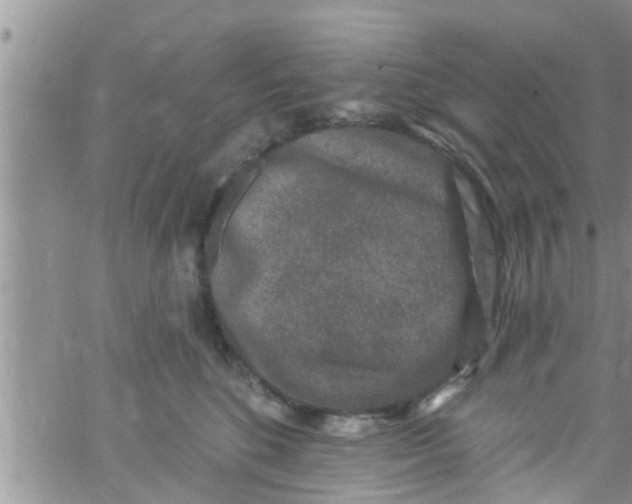 X0000061150520200512092002