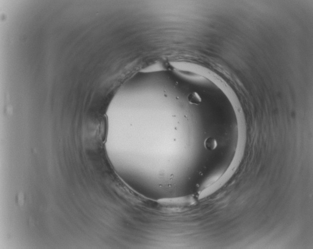 X0000061150521200512092002