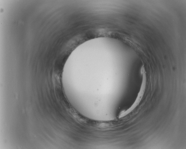 X0000061150522200512092002