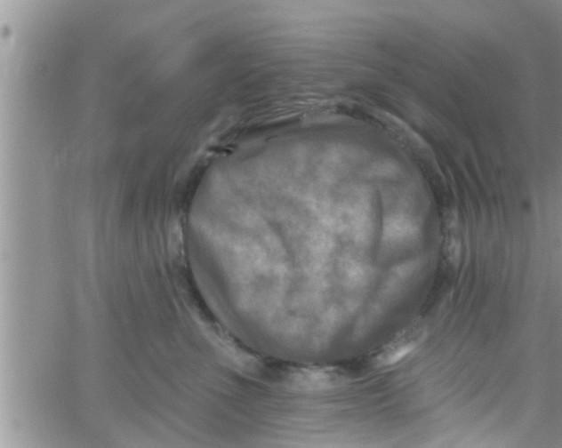 X0000061150523200512092002