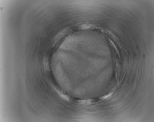 X0000061150524200512092002