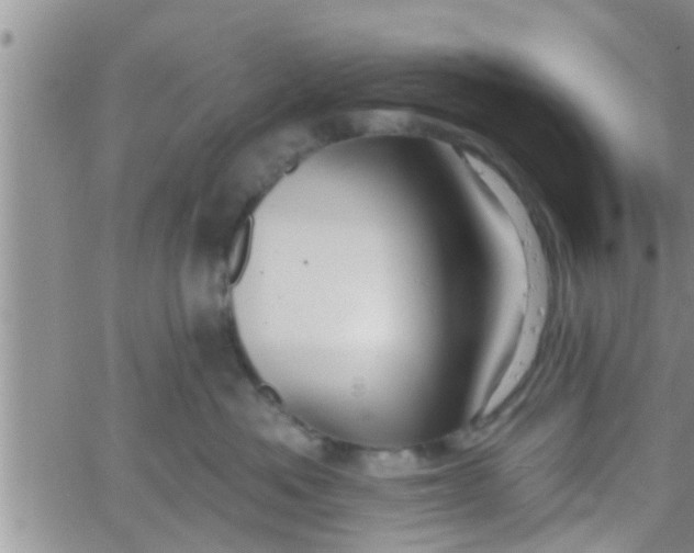 X0000061150525200512092002