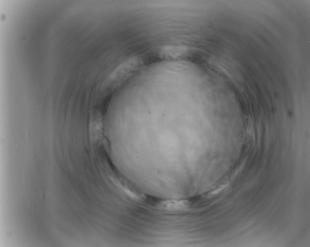 X0000061150526200512092002