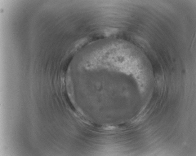 X0000061150527200512092002