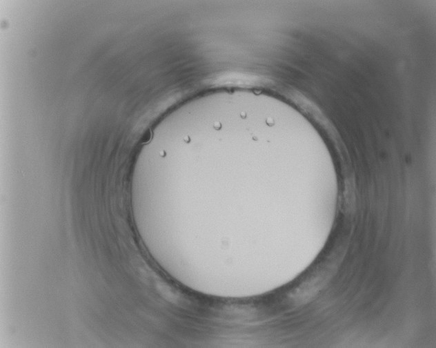 X0000061150529200512092001