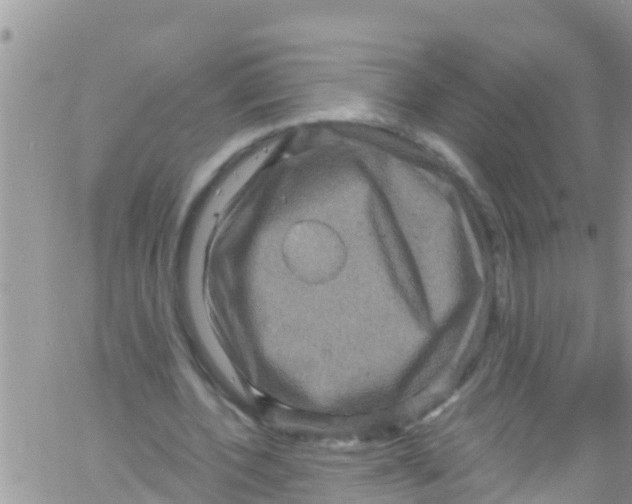 X0000061150532200512092002