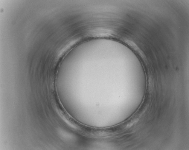 X0000061150533200512092002