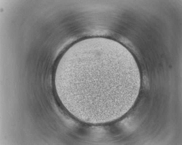 X0000061150534200512092002