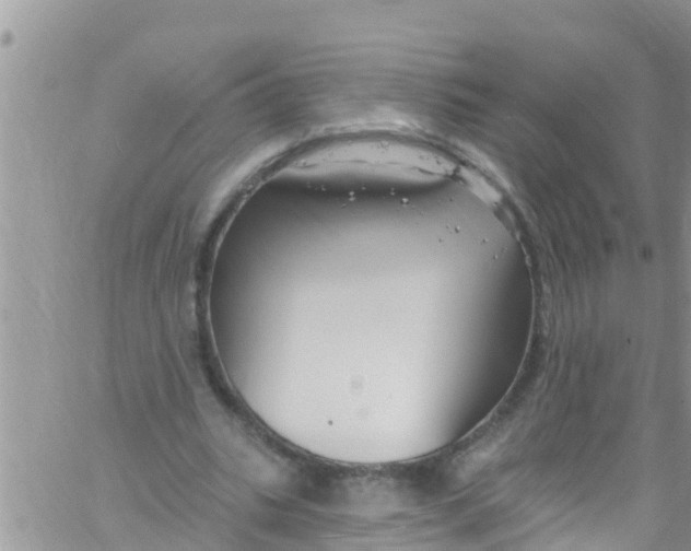 X0000061150535200512092002