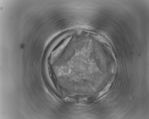 X0000061150536200512092002