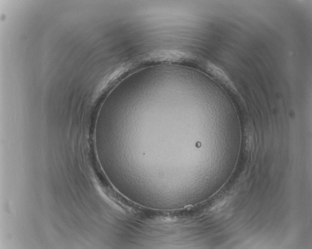 X0000061150538200512092002