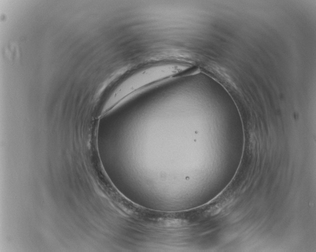 X0000061150539200512092002