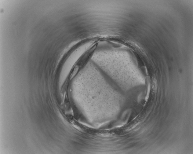 X0000061150540200512092002