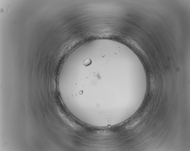 X0000061150541200512092002