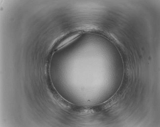 X0000061150543200512092002