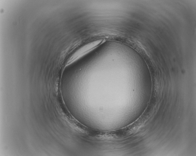 X0000061150545200512092002