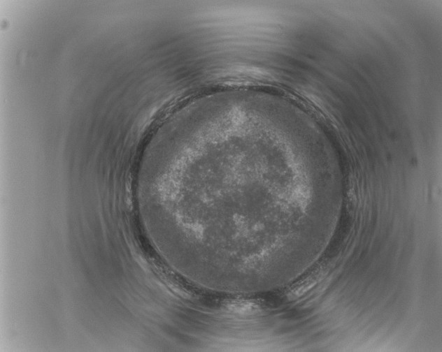 X0000061150547200512092002