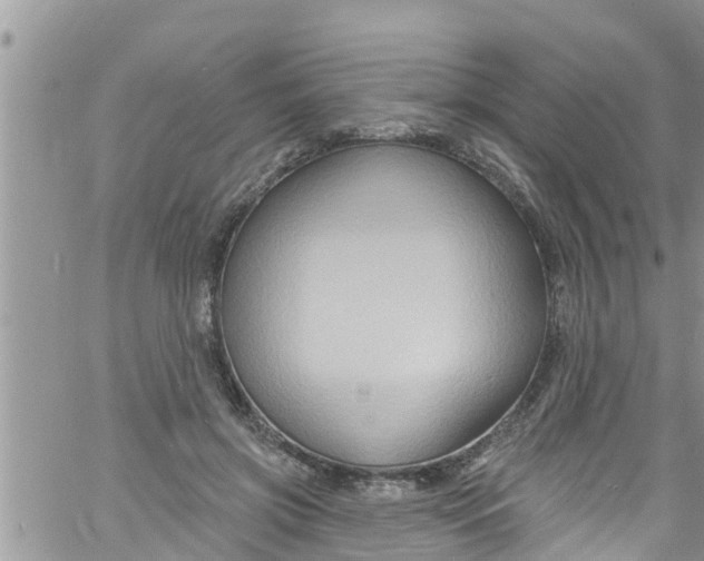 X0000061150549200512092002