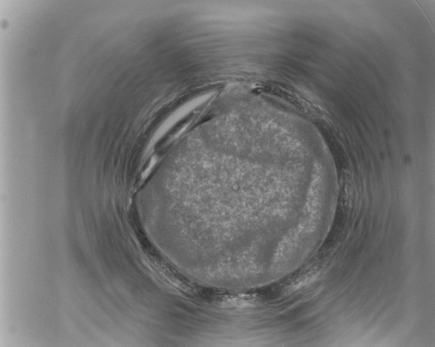 X0000061150550200512092002