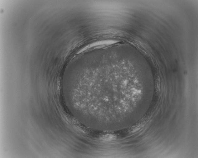 X0000061150551200512092002