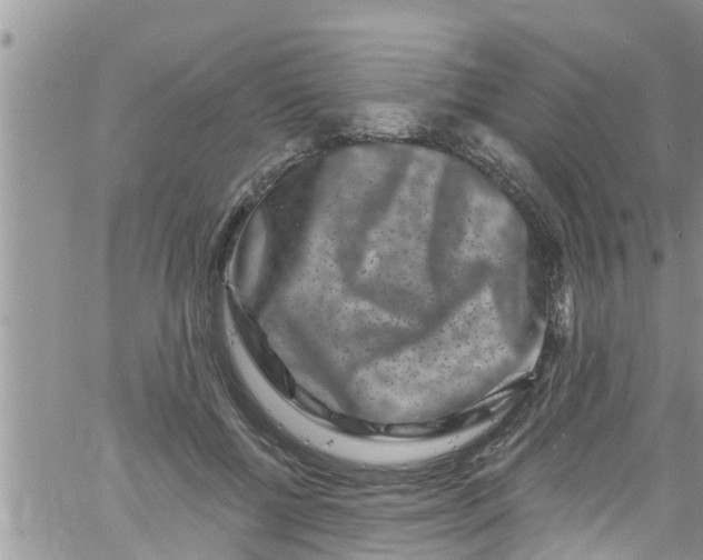 X0000061150552200512092002