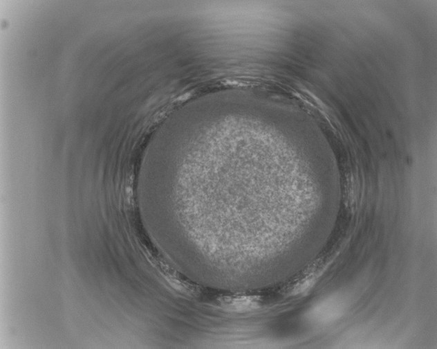 X0000061150553200512092002