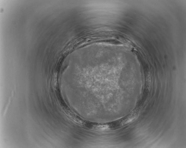 X0000061150554200512092002