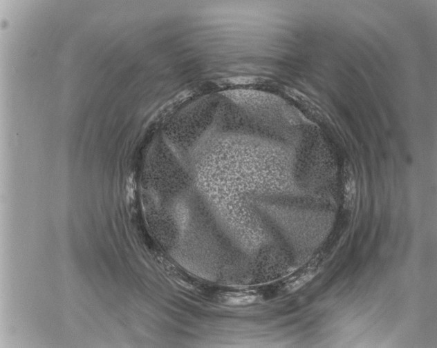 X0000061150555200512092002