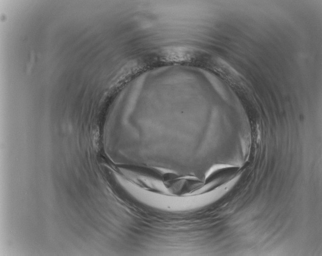 X0000061150556200512092002