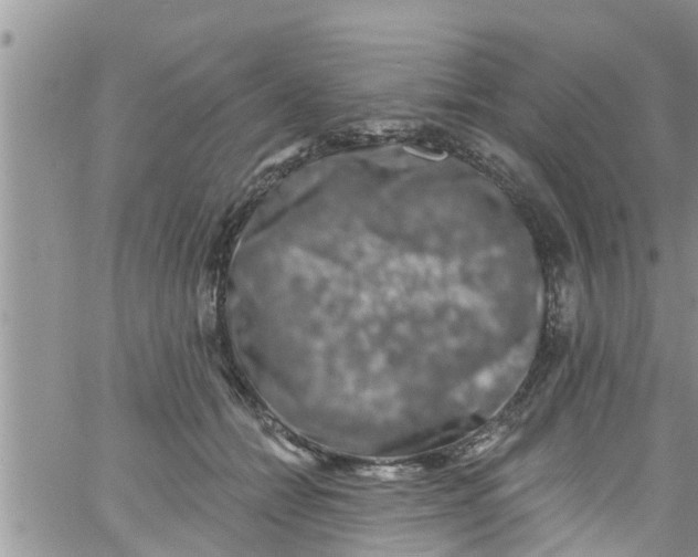 X0000061150558200512092002