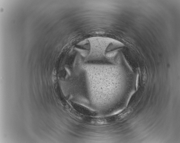 X0000061150559200512092002