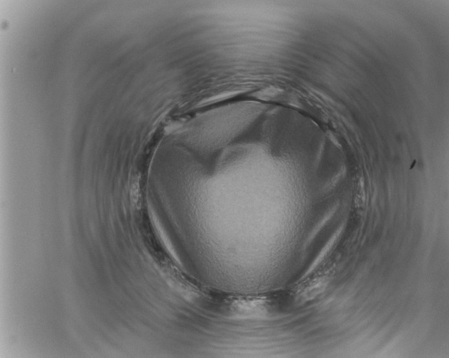 X0000061150560200512092002