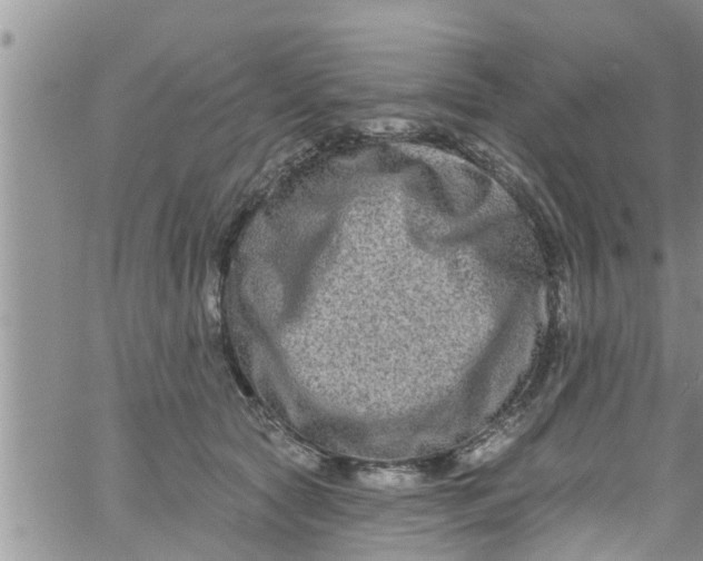 X0000061150561200512092002