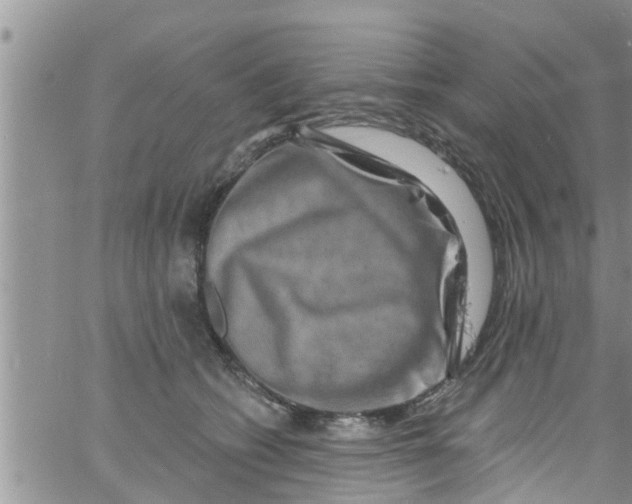 X0000061150562200512092002