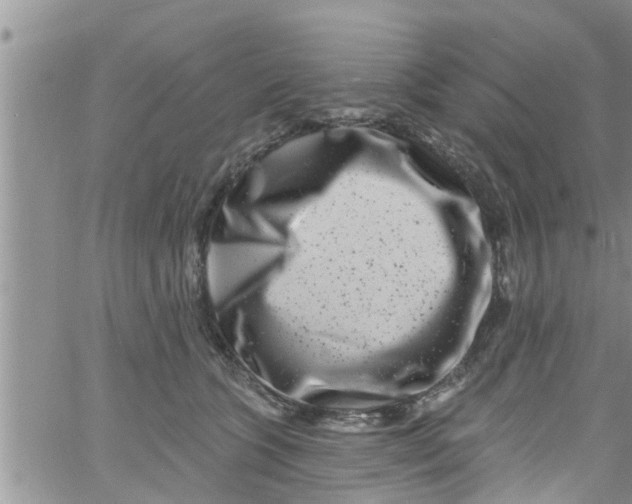 X0000061150563200512092002