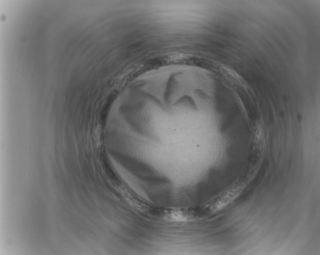 X0000061150565200512092002