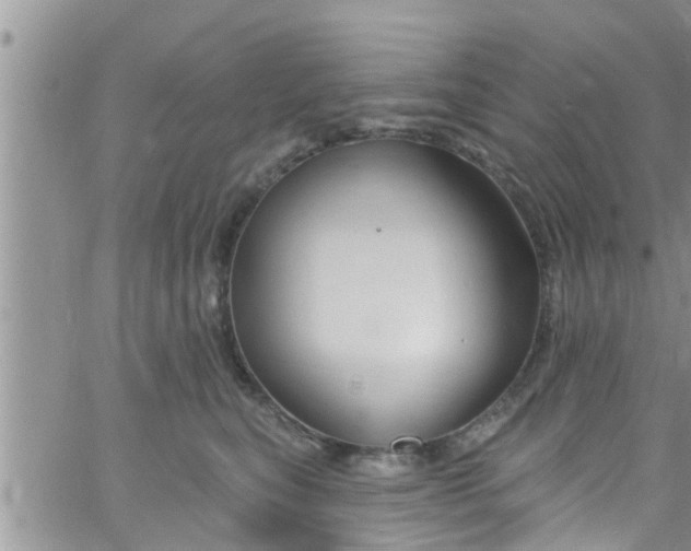 X0000061150567200512092002