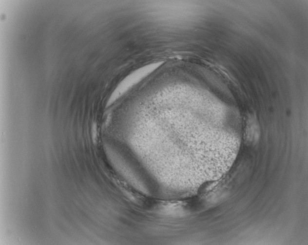 X0000061150569200512092002