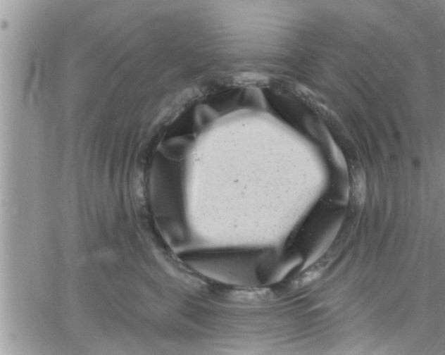 X0000061150571200512092002