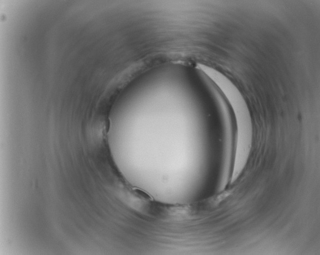 X0000061150574200512092002