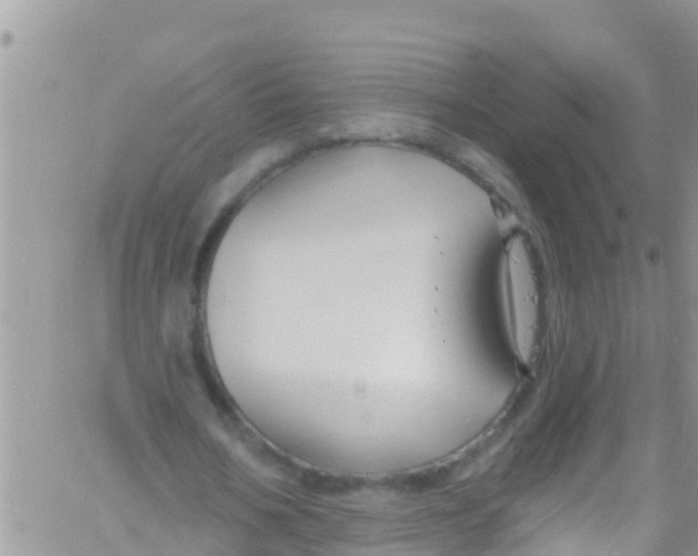 X0000061150578200512092001