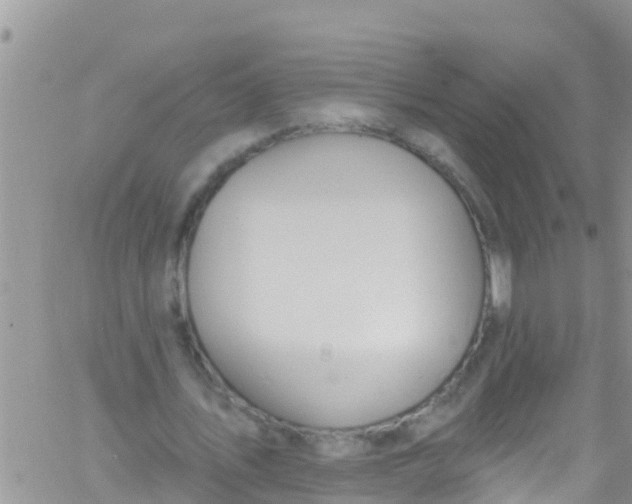 X0000061150579200512092001