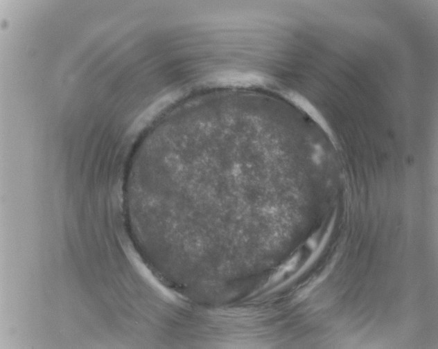 X0000061150581200512092001