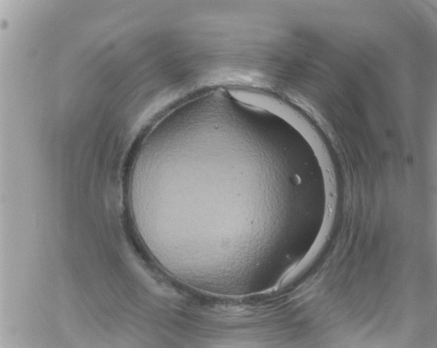 X0000061150582200512092001