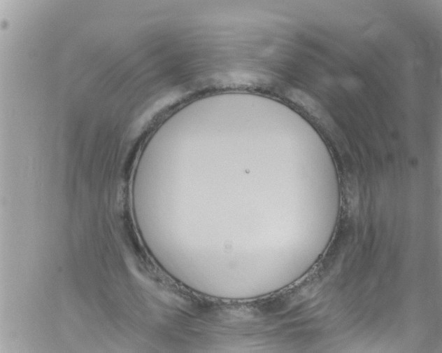 X0000061150583200512092001