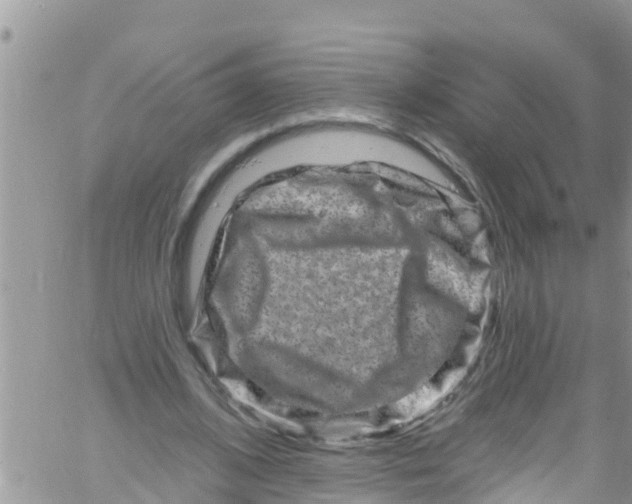 X0000061150584200512092001